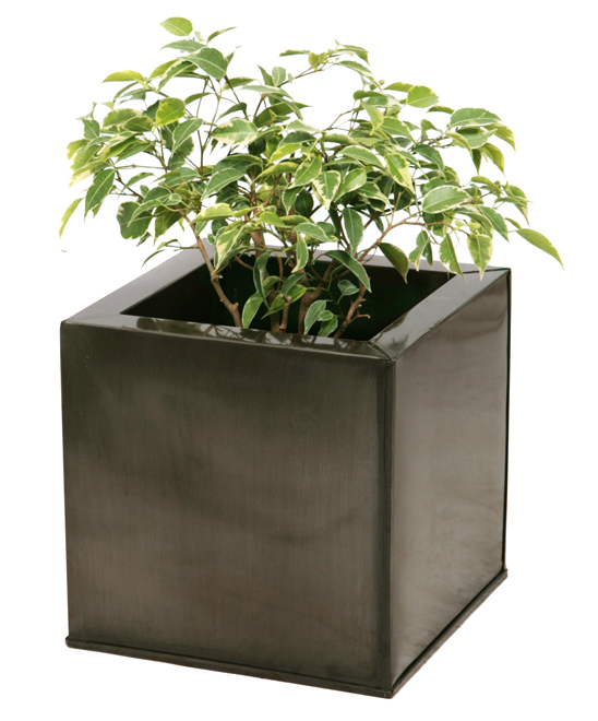 bagageruimte systematisch Waarschijnlijk Kubus plantenbak, Tin (verzinkt) – Jumbo 60cm € 109,99